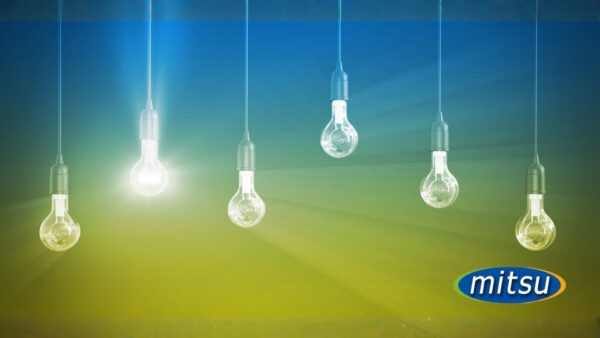 見極めるポイント